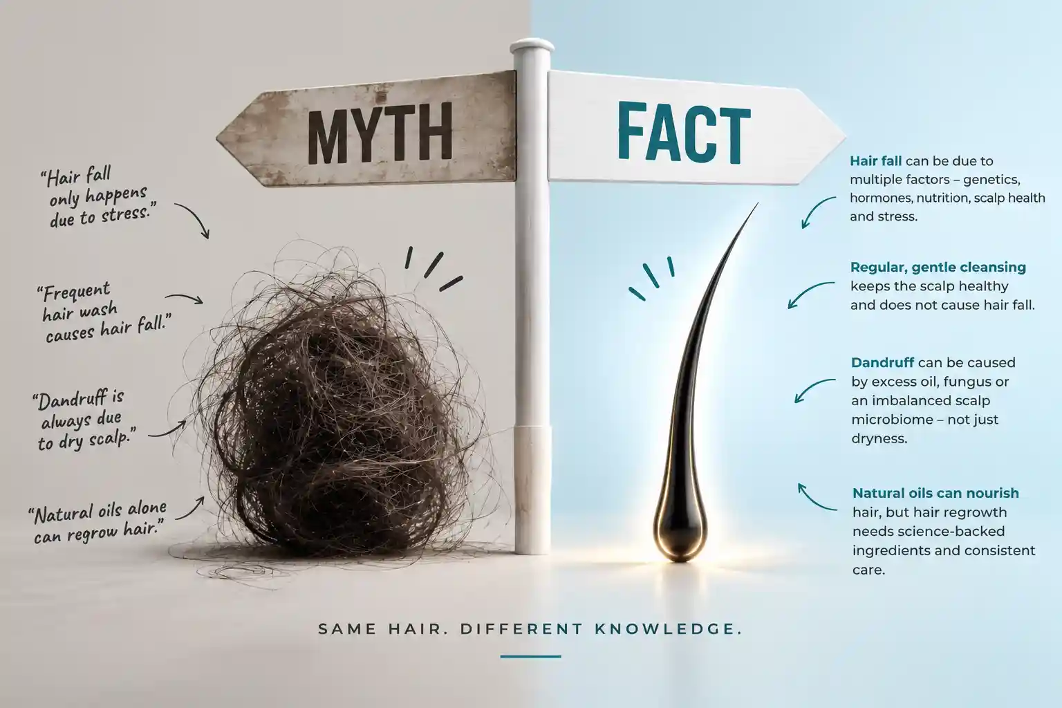 Haircare Myths & Facts